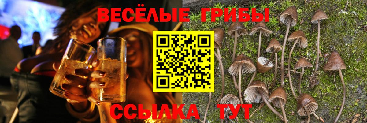 Псилоцибиновые грибы Cubensis  Галлюциногенные грибы мицелий  Вход с VPN  Тольятти 